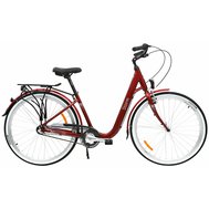 Kolo STORM 28" Flow 3sp. 17" bordó