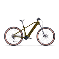 Elektrokolo Levit RILATO over (110 Nm, 720 Wh, GoldenGreen)