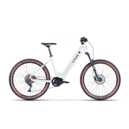 Elektrokolo Levit RILATO low (110 Nm, 720 Wh, White pearl)